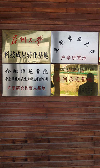 艳九天-校企合作模式