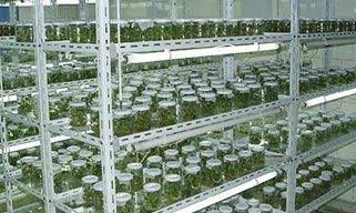艳九天-科学化支持