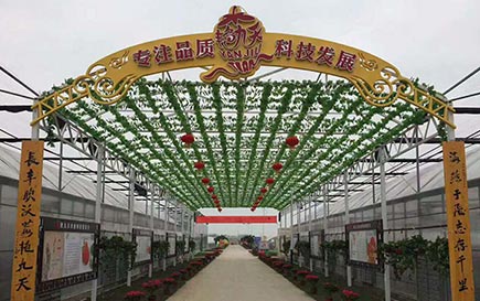 关于艳九天