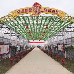 艳九天-参观学习，巩固草莓产业脱贫致富成效