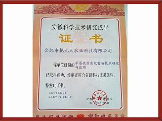 草莓优质高效育苗技术研究与应用证书