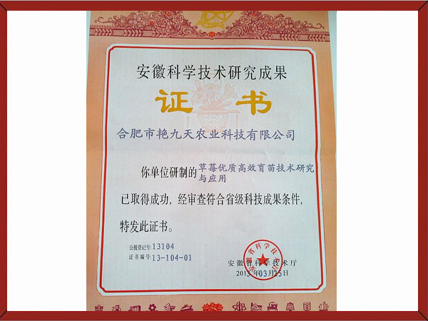 草莓优质高效育苗技术研究与应用证书