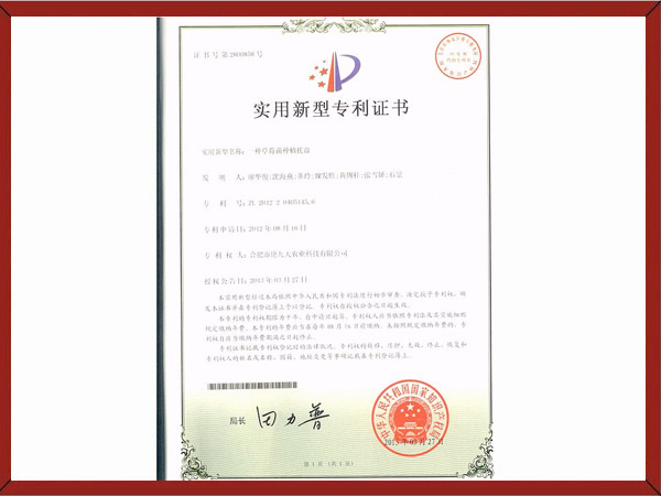 一种草莓苗种植托盘专利证书