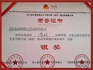 第七届草莓文化章姬品种草莓金奖