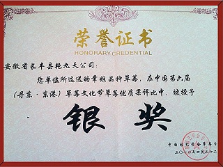 第六届草莓文化草莓果评银奖