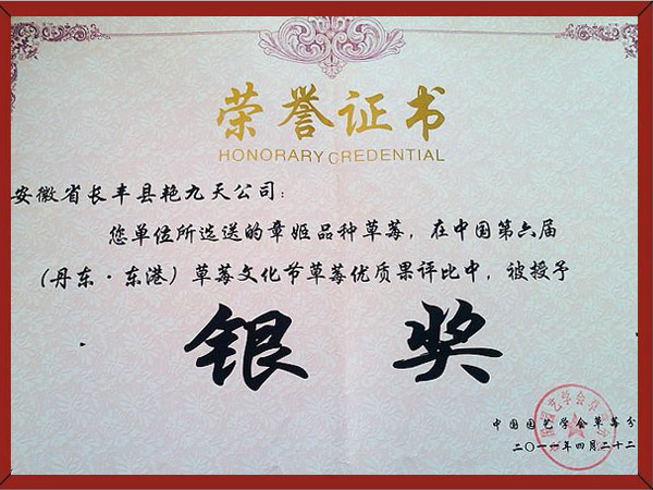 第六届草莓文化草莓果评银奖