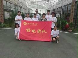 安徽农业大学师生三下乡活动