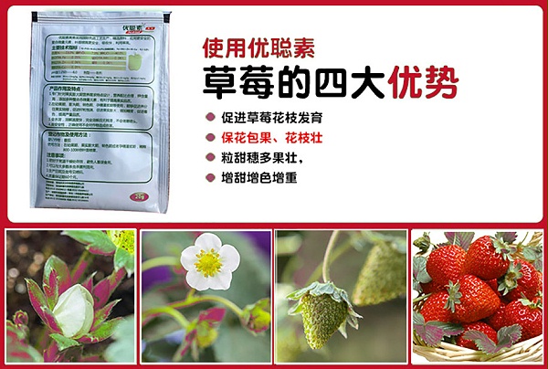 优聪素营养液