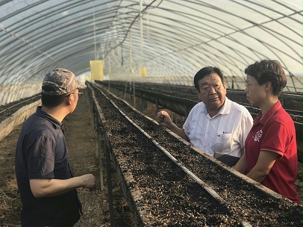 指导草莓种植