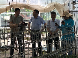 颍上县农业农村局参观长丰县艳九天育苗基地