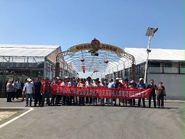 长丰县新型职业农民产业草莓培训班田头实训