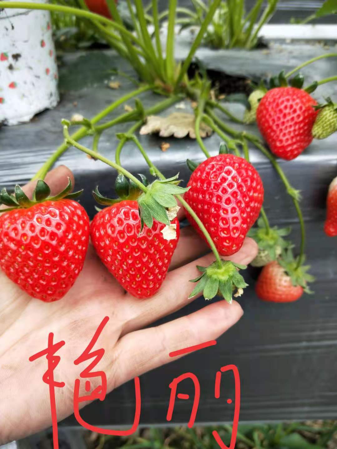 微信图片_20210804151850