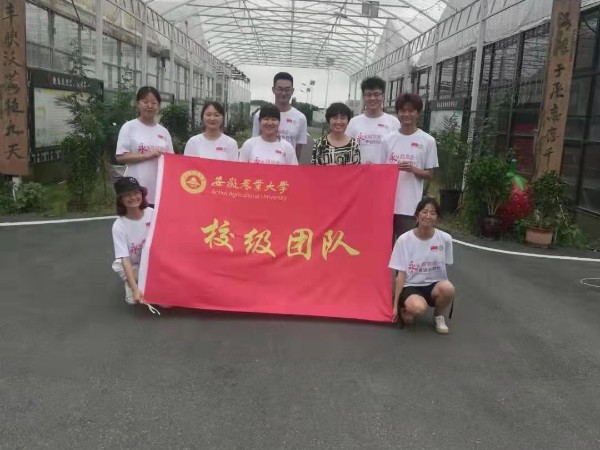 安徽农业大学师生三下乡活动