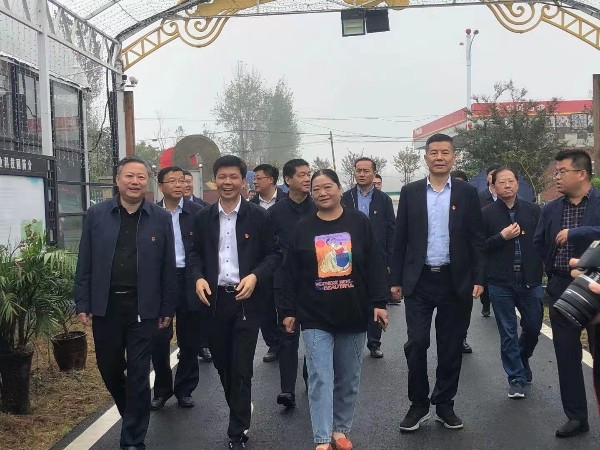安徽省财政厅厅长携长丰县县领导参观艳九天育苗基地