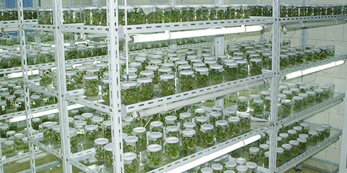 科学化支持