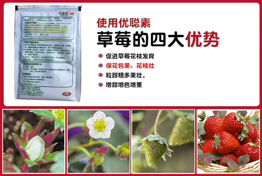 优聪素营养液
