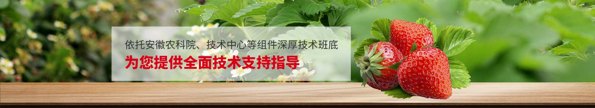 艳九天为您提供全面技术支持指导