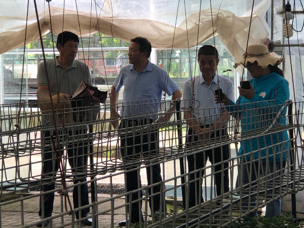 颍上县农业农村局参观长丰县艳九天育苗基地